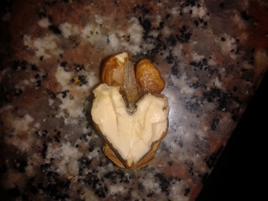 HEART IN THE NUTS